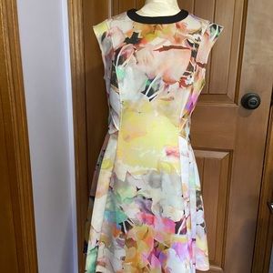 Ted Baker dress
